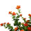 32Pcs Outdoor Uv Resistant Plants, 32 Branches Faux Plastic Greenery S 8