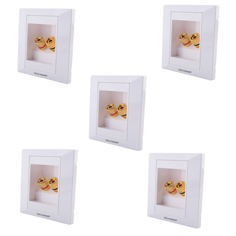 5X Wall Socket Connection Port With 2 Jack Speaker White 4854049555559