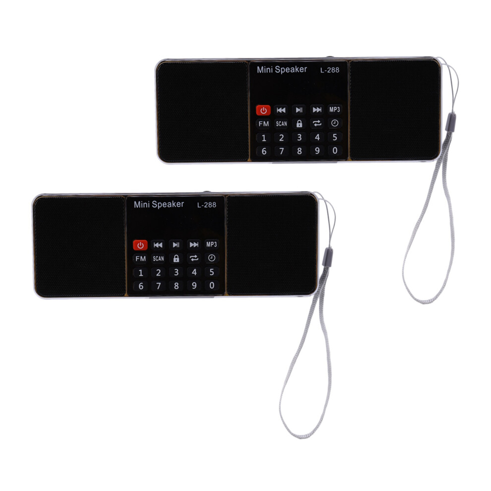 2X Radio Fm Digitale Altoparlante Multimediale Lettore Musicale Mp3 Supporto Scheda Tf Usb