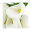 24Pcs Mini Calla Artificial Flower Bouquet Wedding Decoration DIY Wrea 7