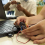 Placa de desarrollo 2X V1.5 para Smart Car Kit/Qtruck/Python Education Microb 3