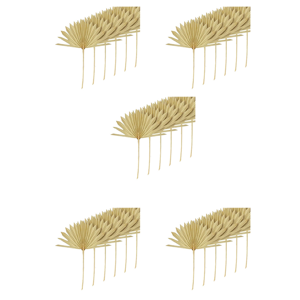 30 Pezzi Di Grandi Foglie Di Palma Secche Naturali, Bouquet Di Fiori, Decorazioni Per Matrimoni