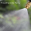 40 Pcs Adjustable Misting Nozzle for Gardening Sprinkle Brass Watering 3