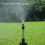 40 Pcs Adjustable Misting Nozzle for Gardening Sprinkle Brass Watering 5