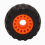 Off Road Skateboard Longboard Räder (Set von 8 Enthält Lager Hülse 9