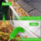 2X Βούρτσα καθαρισμού υδρορροών για στέγες με τηλεσκοπικό επεκτεινόμενο κοντάρι 6