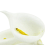 36Pcs Mini Calla Artificial Flower Bouquet Wedding Decoration DIY Wrea 6