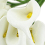 36Pcs Mini Calla Artificial Flower Bouquet Wedding Decoration DIY Wrea 5
