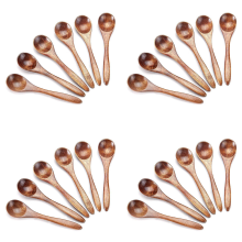 Small Wooden Spoons, 24Pcs Teaspoon for Cooking Condiments Spoon, Mini