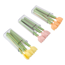 15 pezzi Tulip Sealing Magnet Clip, Scatola di conservazione in PP/PS
