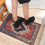 2X Indoor Door Mat Retro Floor Mat, Non Slip Front Rug Soft Quick Abso 5