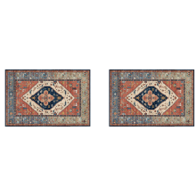 2X Indoor Door Mat Retro Floor Mat, Non Slip Front Rug Soft Quick Abso