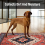 2X Indoor Door Mat Retro Floor Mat, Non Slip Front Rug Soft Quick Abso 4
