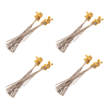 160Pcs Dried Craspedia Flowers Button Balls Flowers,Dried Flower Bouqu
