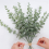 36 Pieces of Eucalyptus Stems Artificial Leaf True Gray Branches 10
