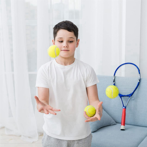 48 Pack Tennis Balls with Storage Bag - Fine Quality Thick-Walled Ball 2