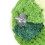 Casa-nido per pappagallo M Verde velluto/plastica/metallo 8