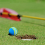 60 Pcs Golf BallsSoft Foam Garden Balls Practice Sponge Rainbow for In 8