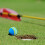80 Pcs Golf BallsSoft Foam Garden Balls Practice Sponge Rainbow for In 8