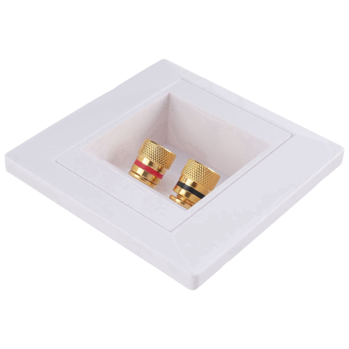 10x wandcontactdoos aansluitpoort met 2 jack luidspreker wit 2