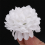 120 Pcs Carnations Craft Artificial Flower Silk Spherical Heads Weddin 3