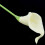 36X Artificial Calla Lily Flowers Single Long Stem Bouquet Real Home D 9