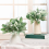 72 Pcs Artificial Flocked Lambs Ear Greenery Stems Faux Lamb's Decor 7