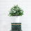 72 Pcs Artificial Flocked Lambs Ear Greenery Stems Faux Lamb's Decor 6
