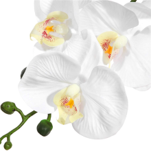 10Pcs 38Inch Artificial Real Contact Orchids Flowers 9Heads Latex Phal
