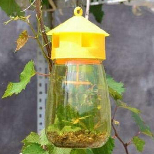 4 Pack Fly Reusable Traps, Fruit Traps Catcher Outdoor 2