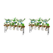 2X Estaciones de Propagación Terrario de Plantas de Aire de Escritorio, Maceta de Vidrio Bul