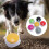 6PCS Voice Recording Buttons, 30s Multi-Color Pet Training Buzzer Set 3