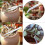 23pcs Mini Succulent Garden Tools Set, Stainless Steel & Plastic 7