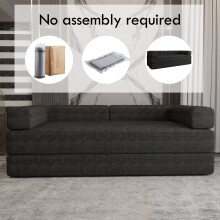 (Black) Modern Convertible Sofa Bed-Box Packed