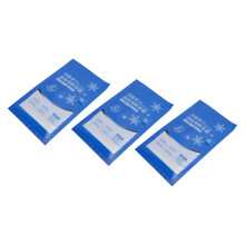 60 piezas 300 ml bolsas de hielo autoabsorbentes de doble cara