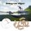 Eco-Friendly Carp Fishing Hook Sleeves - 30/50/100pcs Options 1