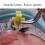 Strumento separaciglia in silicone giallo - lavabile 3