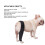 Ginocchiera per cane - Regolabile Oxford nero 7