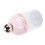 Gesichtsreiniger Schaumbecher 200mAh 8.9oz Rosa 10