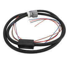 Controllore standalone 4L60E NCR60E 93-08 2WD/4WD