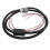 Controllore standalone 4L60E NCR60E 93-08 2WD/4WD 1