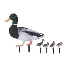 Enten-Gartenpfähle – Acrylschild mit Entenfamilie