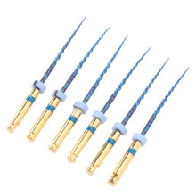 F3 Endodontische Feilen-Set, 6 Stück, 1 Zoll, Metall-Endo-Spitzen
