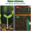 12 Holes Soil Digger Planter with Adjustable Seeder for Gardening 4