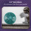 Tambour à langue 8 notes 4 po en C – Violet/Vert 2
