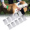 Lice Solution: 10pcs Translucent Filters for Electronic Lice Combs 1