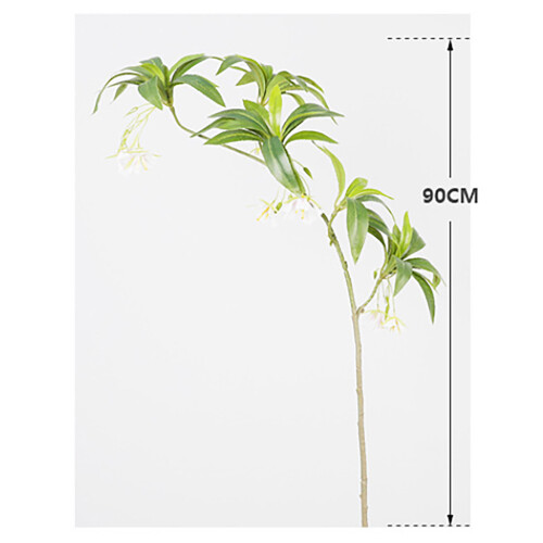 Plante Elaeocarpus verte à 5 branches, 90 cm, 71 g 1