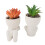 2 pezzi di vasi ceramici per succulente a forma umana, bianchi 15