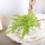 Decorazione per acquario con felce artificiale e alghe marine 47 cm x 28 cm 9