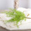 Decorazione per acquario con felce artificiale e alghe marine 47 cm x 28 cm 12